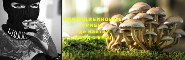 спайс Заводоуковск