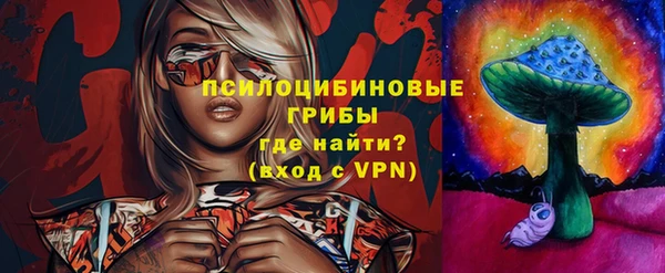 гашик Заволжск